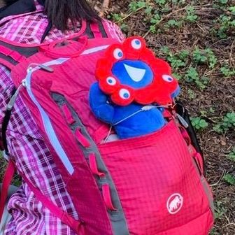 ここから顔を出してたミャクミャクちゃん💕
こんなこと出来るの、ここ（金剛山）だけ〜❣️
万博の時ですらしてなかったこと（ミャクミャク棒は刺してたけど）
