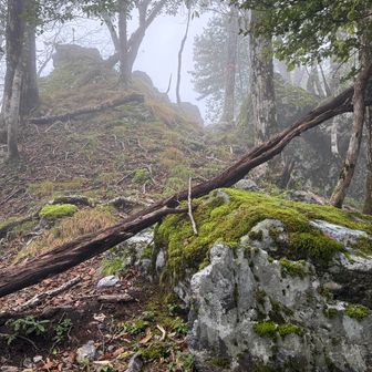 蕎麦粒山ピークが見えた