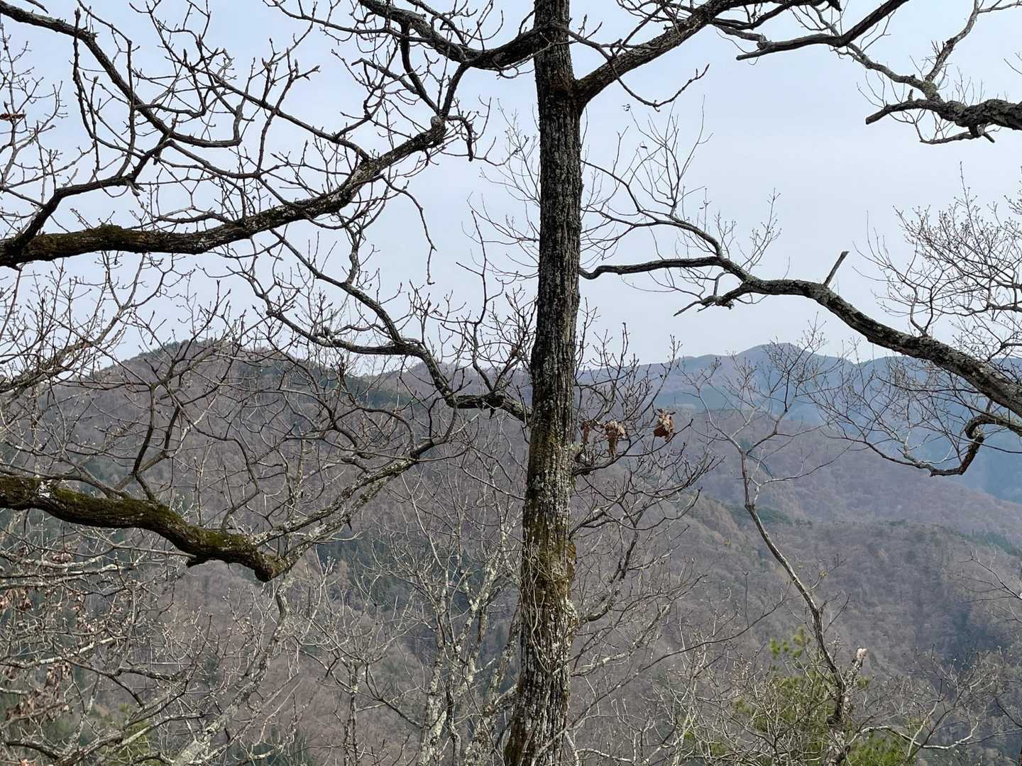 まだ稜線は鏡台山までいけるみたいですが、帰ります