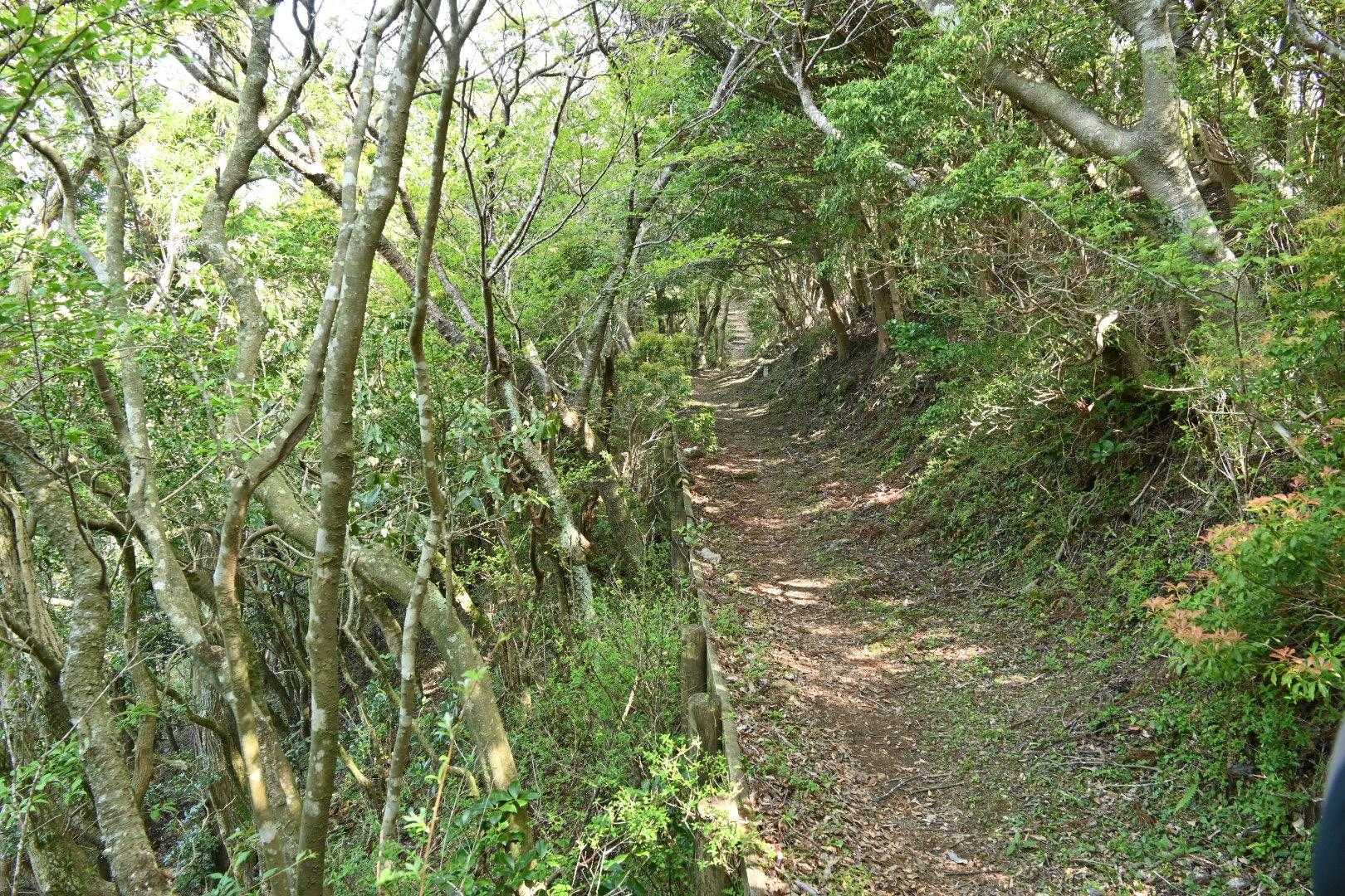 晴れてきた🙌