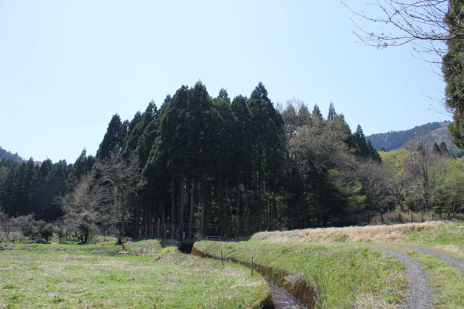 振り返って。