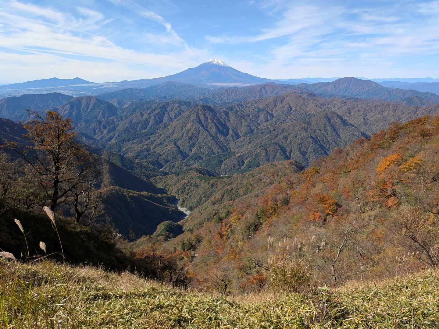 熊笹ノ峰からの富士山🗻