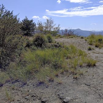 新道の登山口駐車場には1台も駐まっていない。