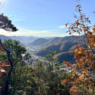 途中までは落ち葉の積もった車道歩きで
この辺りから、ちょっと急な電波塔によくあるレゴのパーツのような階段になります