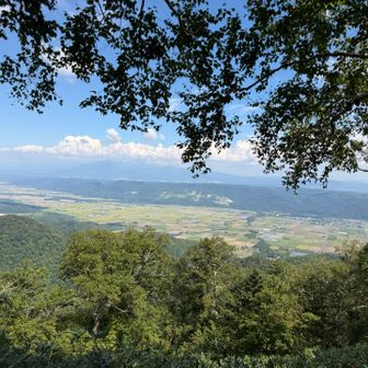 下山時の見晴台の景色🤩
十勝岳方面は少し霞んでますね😶‍🌫️