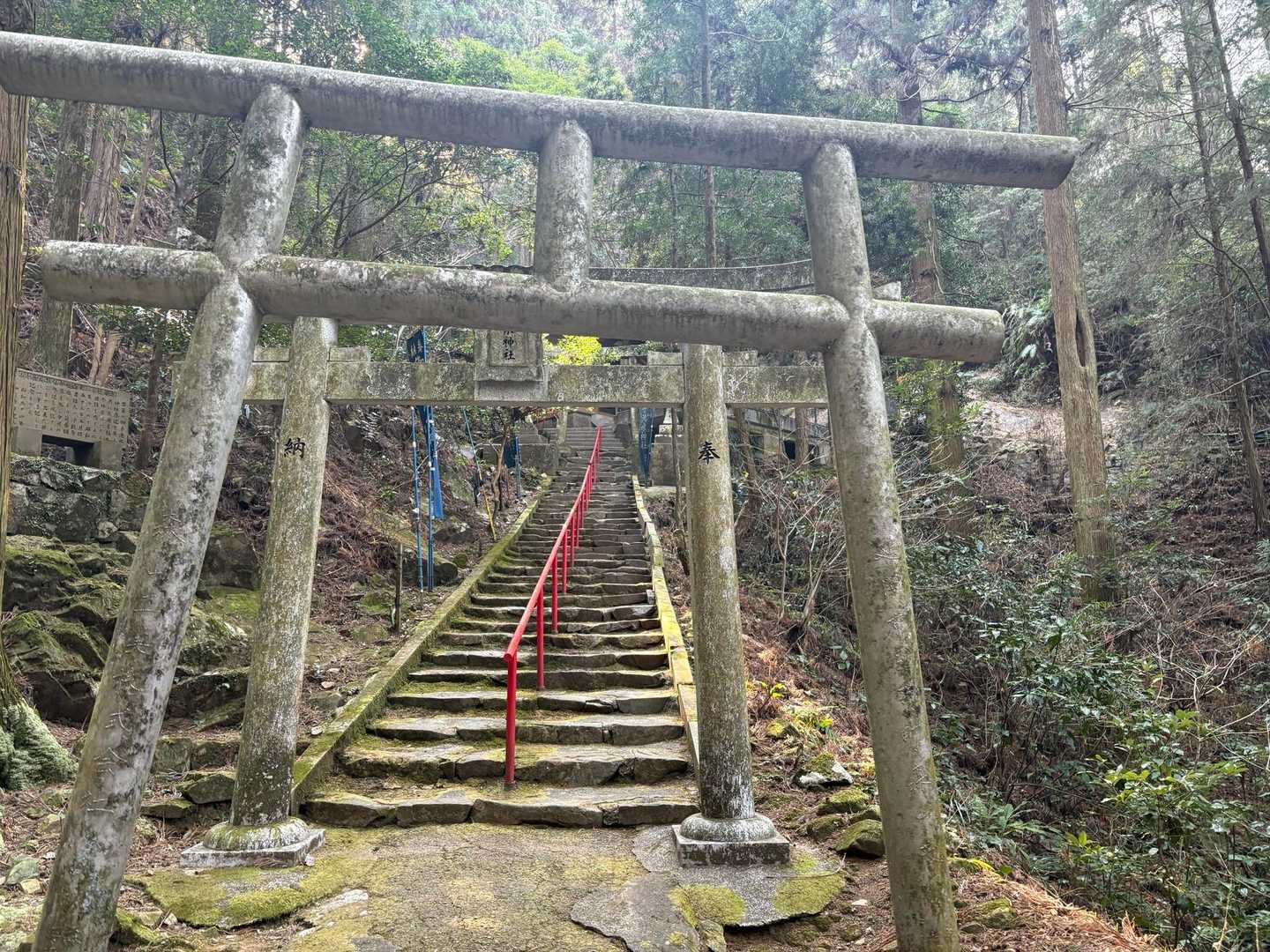 神社に手を合わせて