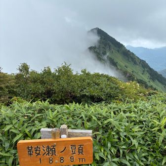 鞍瀬の頭到着。ニノ森まであとちょっと。