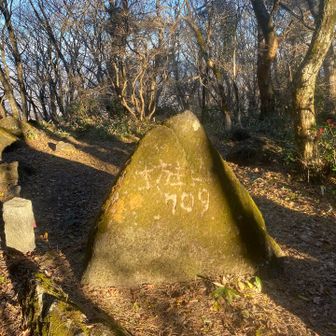 坊主山 山頂