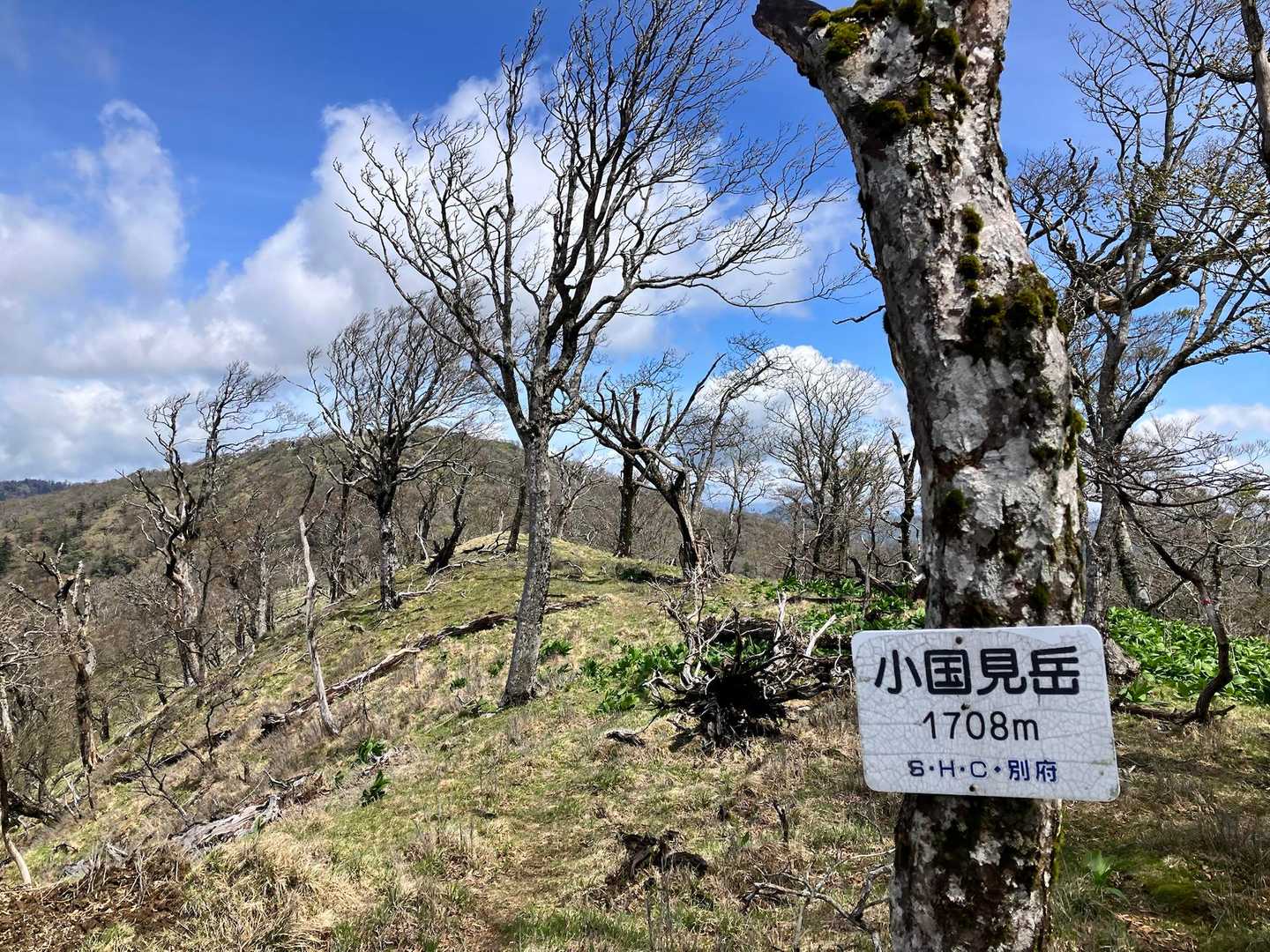 このピークに至るまでの爆風が一番ヤバかった😅