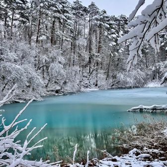 柳沼。綺麗ね〜