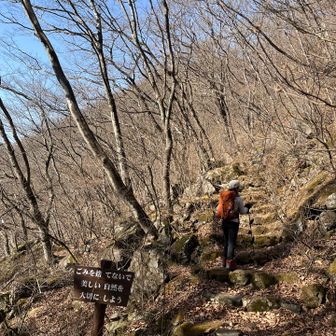 体調万全！ガンガン登ります✨