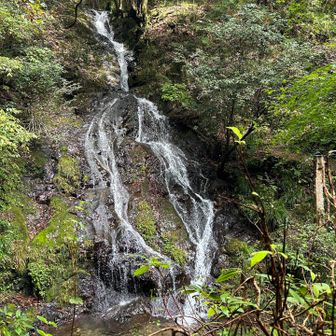 白岩の滝　かつて雨乞が行われていたらしい
いくつもの滝を眺めながら歩きやすい沢筋の道を登る