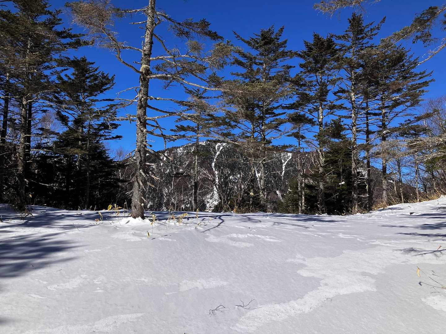 この奥の山。
山地図みると破線ルートの於呂倶羅山。
気になります。