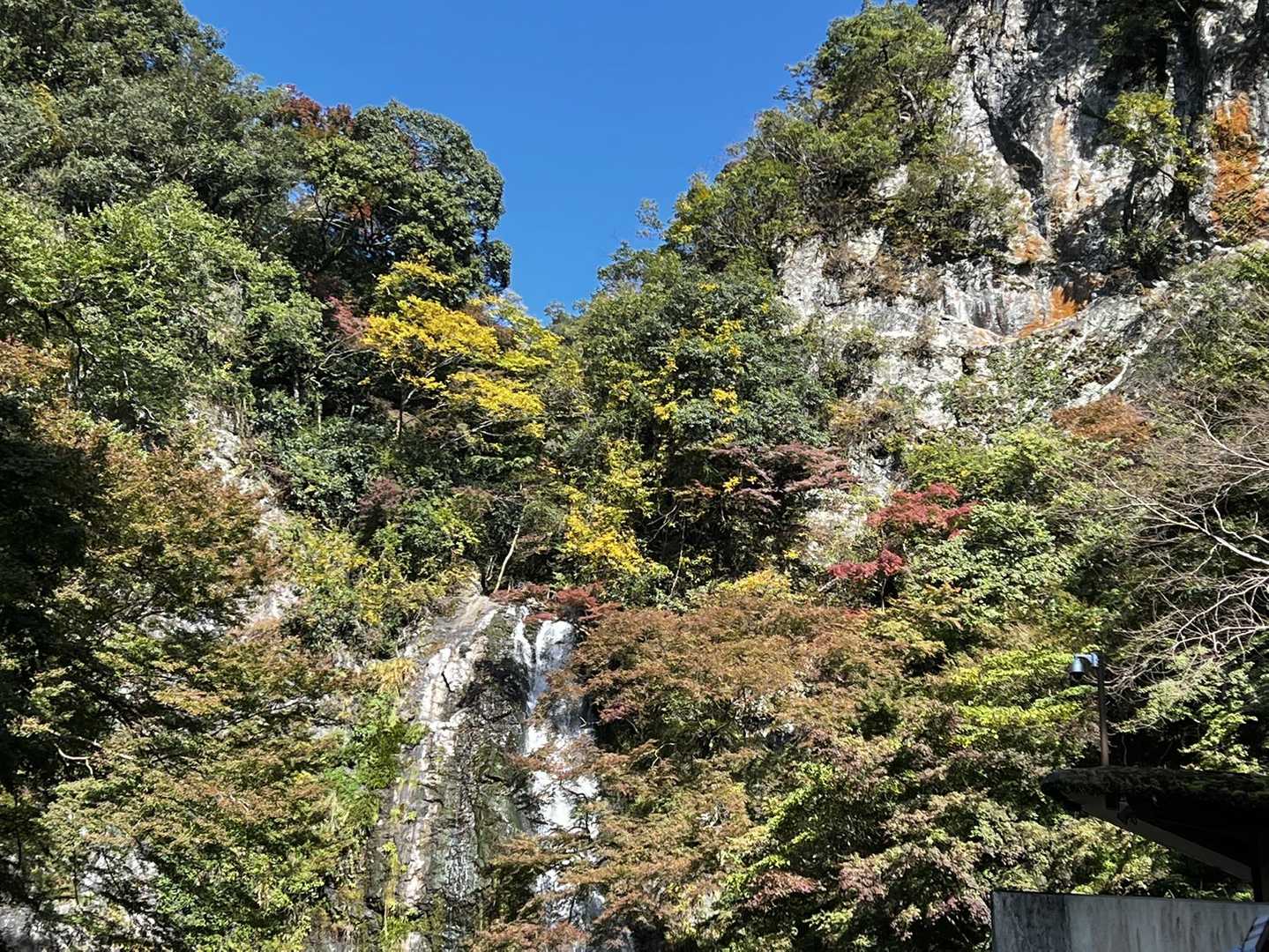 箕面の滝！