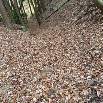 私は一度行ってるのでこのまま下山します