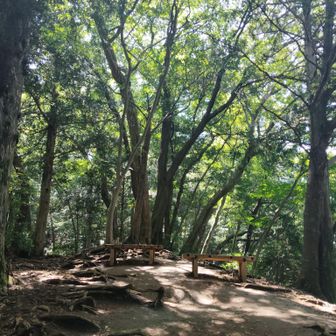 月曜日の4号路はひっそり