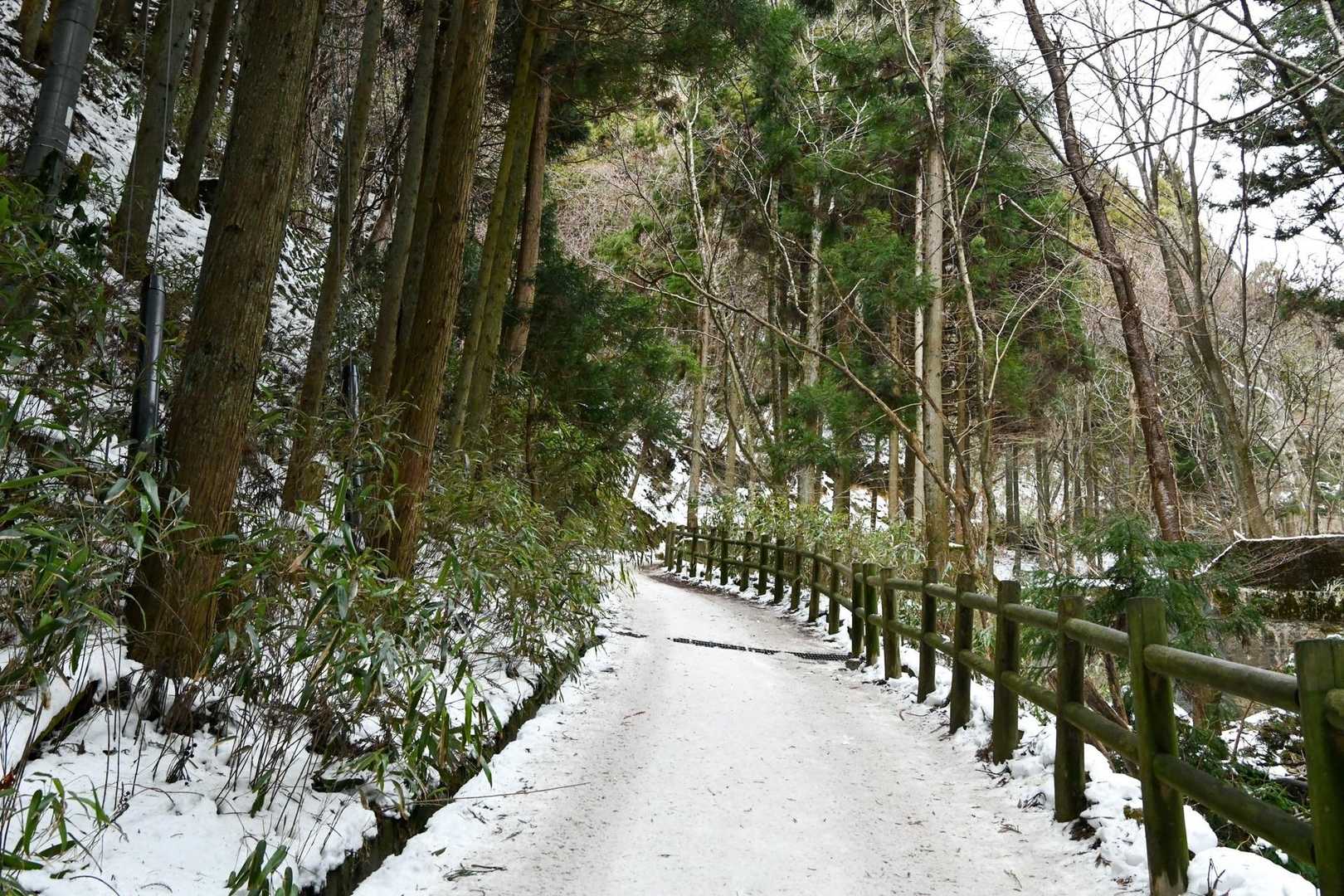 ここね…ほんとっ急坂(´°ω°)ﾁｰﾝ
チェンスパ が大活躍する金剛山