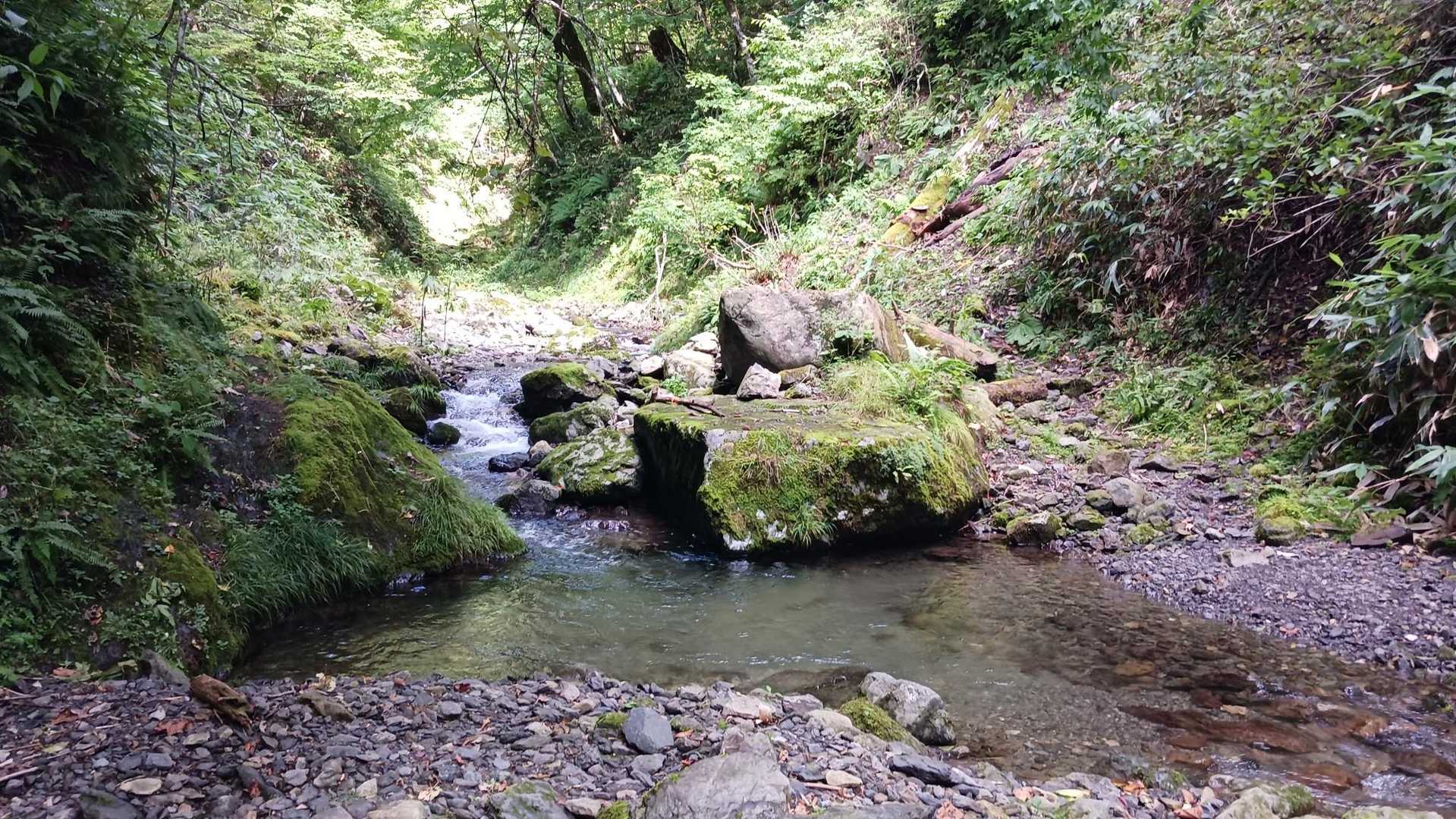 沢登り