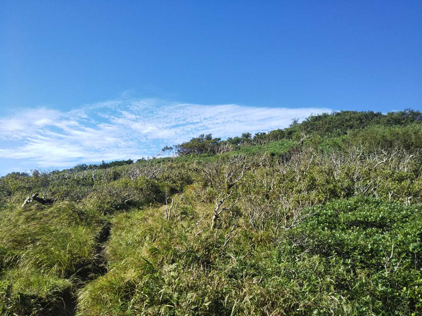 オロフレ峠展望台の駐車場南側にある登山口を出発。この斜面を越えると緩やかな登山道が続く。