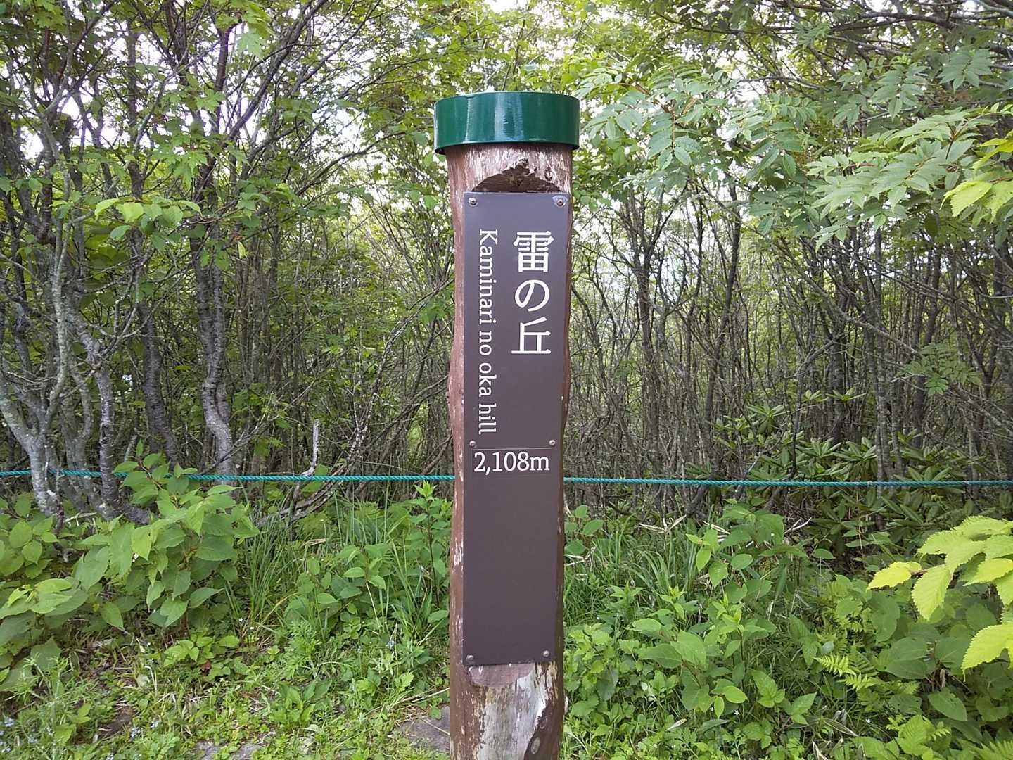 雷の丘
ここもランドマーク無し