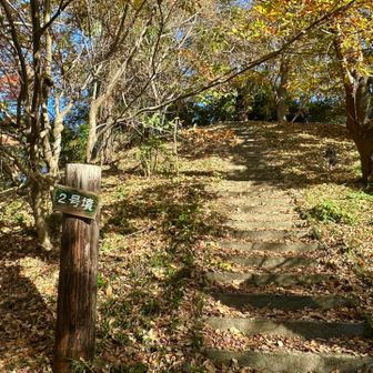 秋葉山が2号墳だったのかな❓