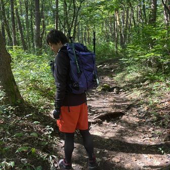 のびのびのびた