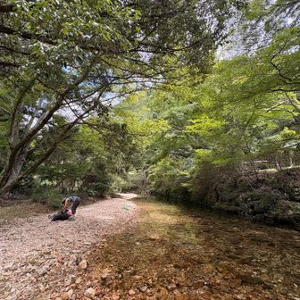 ここは涼しい。心地良い風が通るんです。