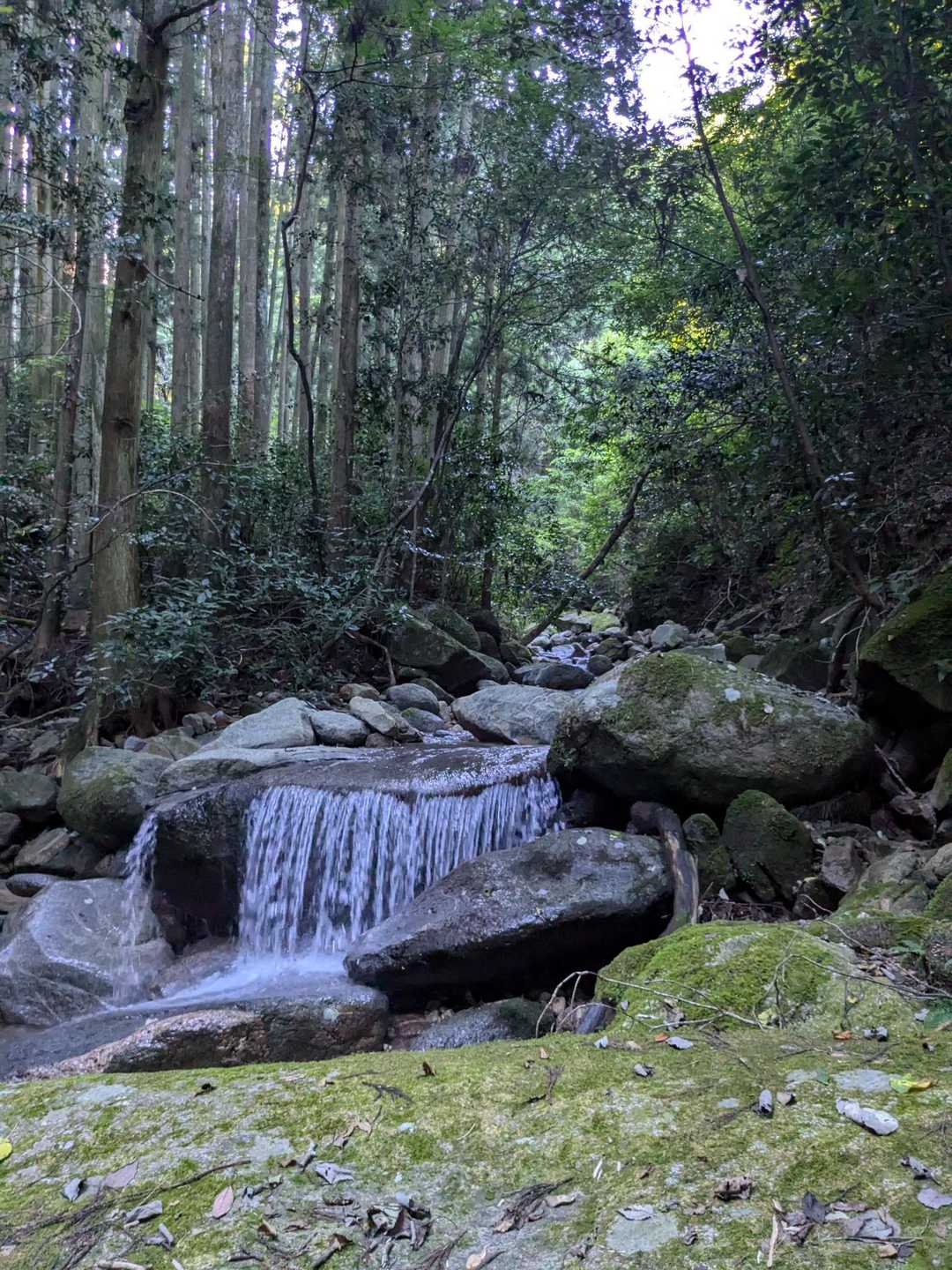 水の音を聞きながら、登ります🙂