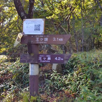 40分足らずで下山✌️
荷物が軽いのと足を鍛えた賜物❤️