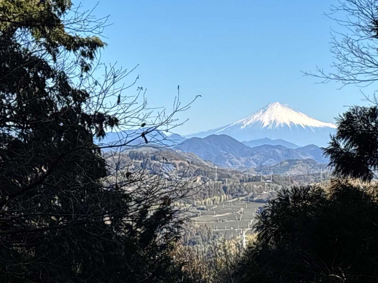 地蔵山からの富士山　😍