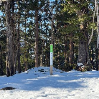 実は楯岡山かと思っていた。申し訳ない。

楯山でぇす！やま百でぇす！おさむちゃんでぇぇす！！