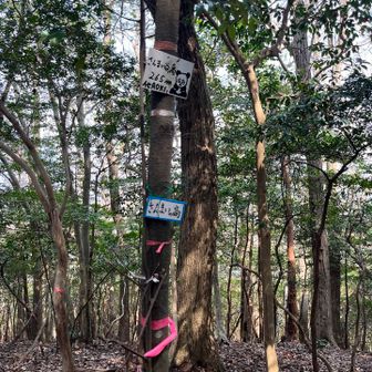 さんまい谷の高