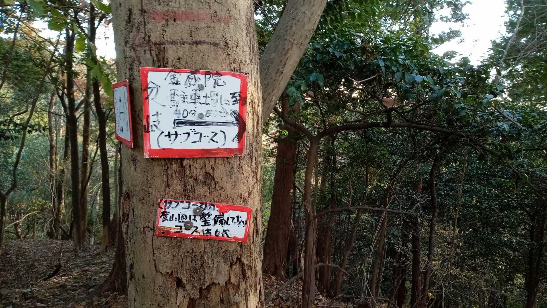 分岐ポイントに戻り金蔵院方向へ