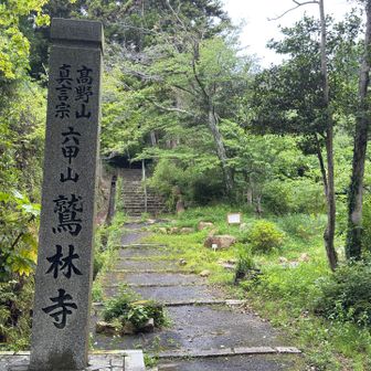 鷲林寺に到着。
