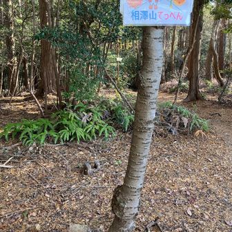 相澤山
前はベンチがあったような