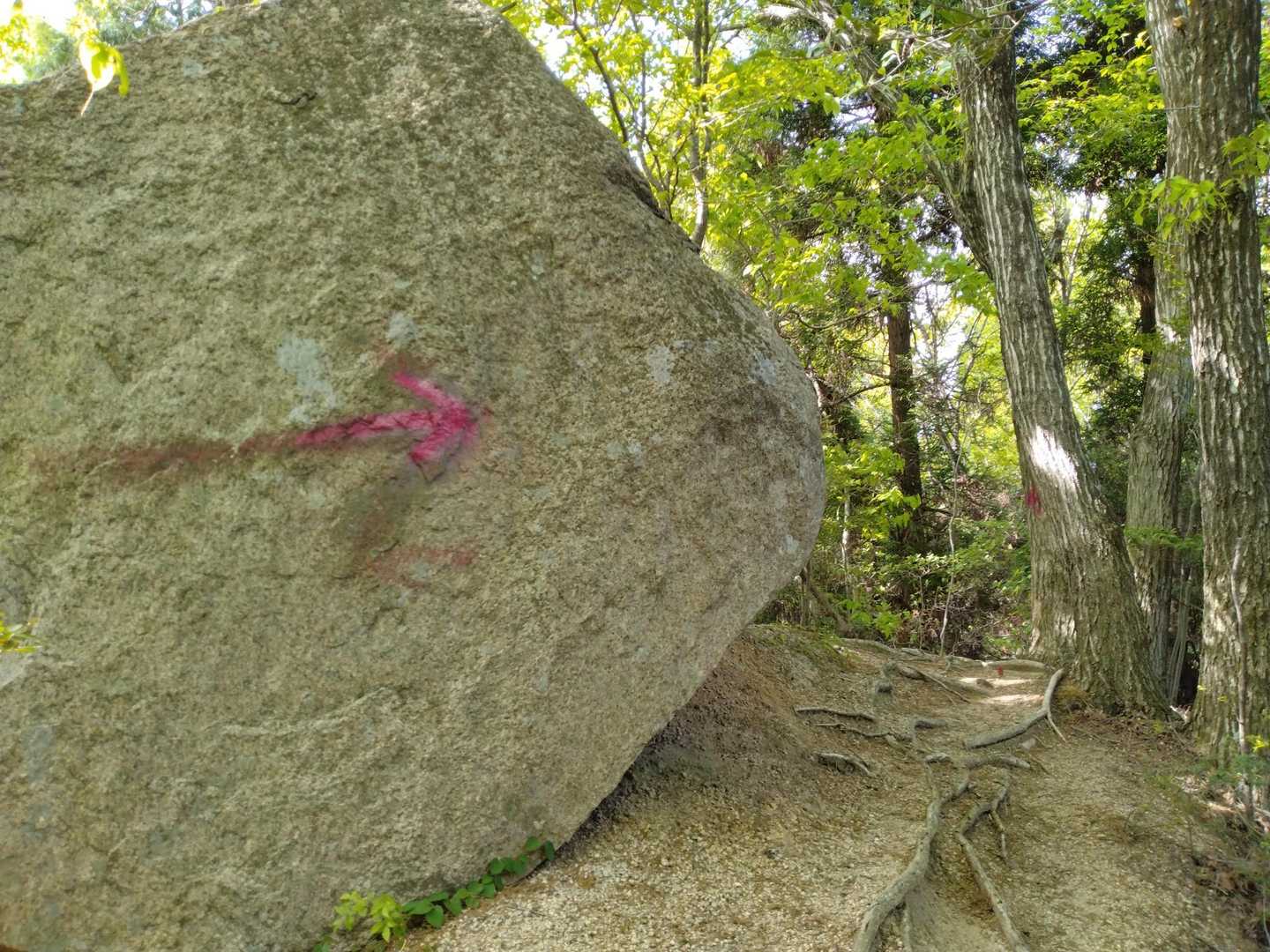 大きな岩！