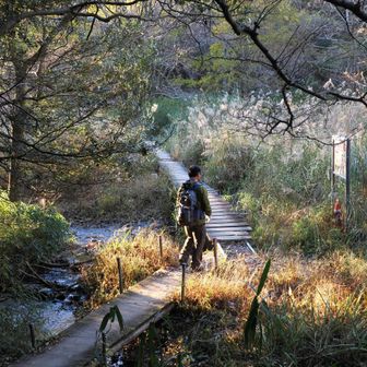 五助堰堤
すすきの中をドスドス🌾