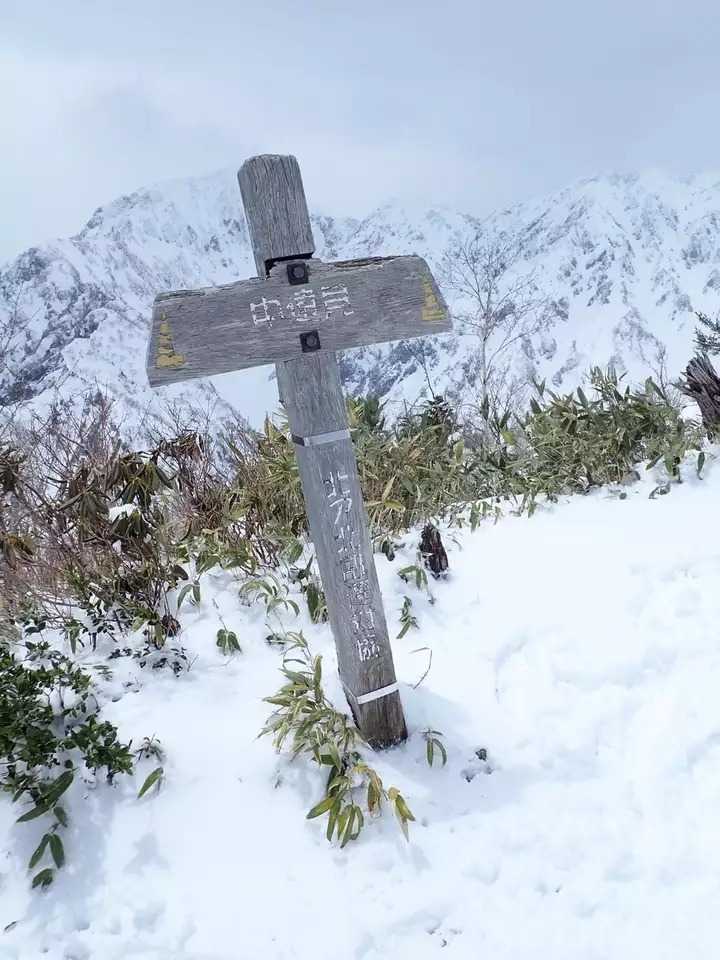 中遠見山の写真