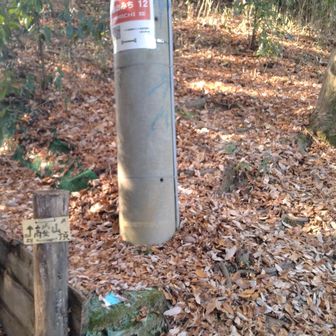 わかりにくい、高安山ピーク