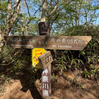 左折は鍋割山
右折は塔ノ岳