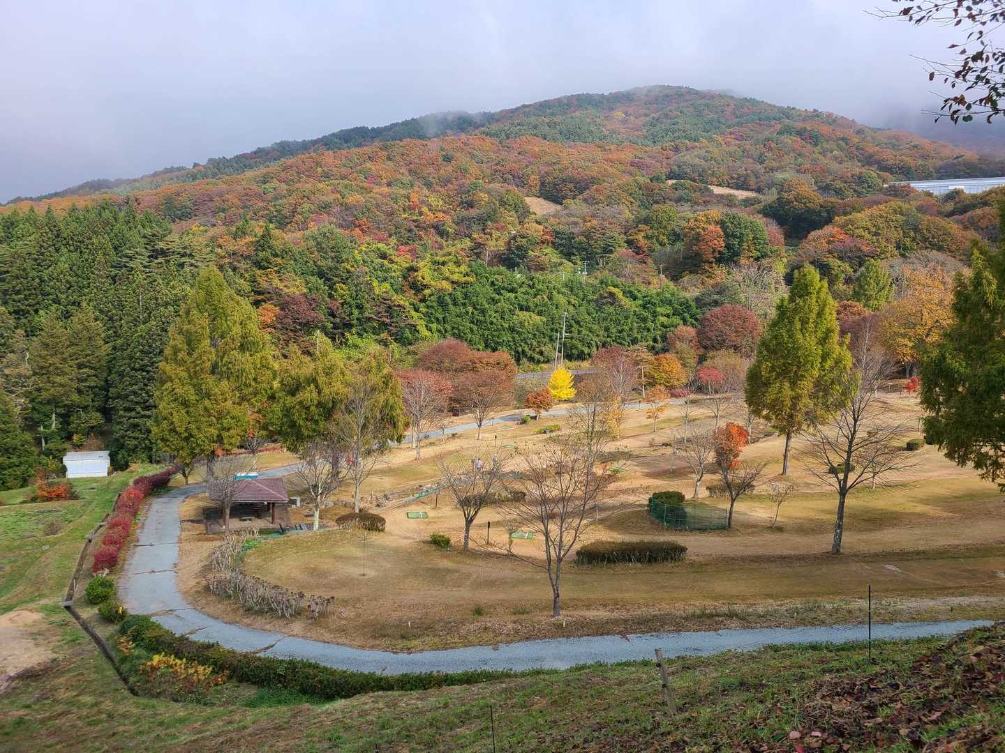 下山完了。
パークゴルフ場もあります。
ゴルフやってる人もいて楽しそうでした。お疲れ山でした🙇