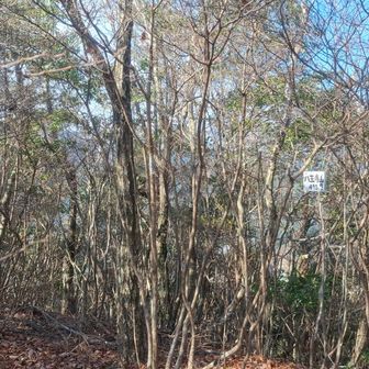 ここの山頂は眺望なし😅
この季節、クモの巣や藪こぎが少ないからあまり人通りがない道でも気にせずに歩けてありがたい😁