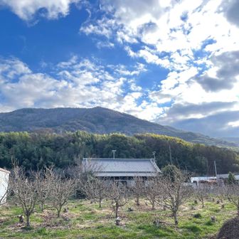 戻ってきました