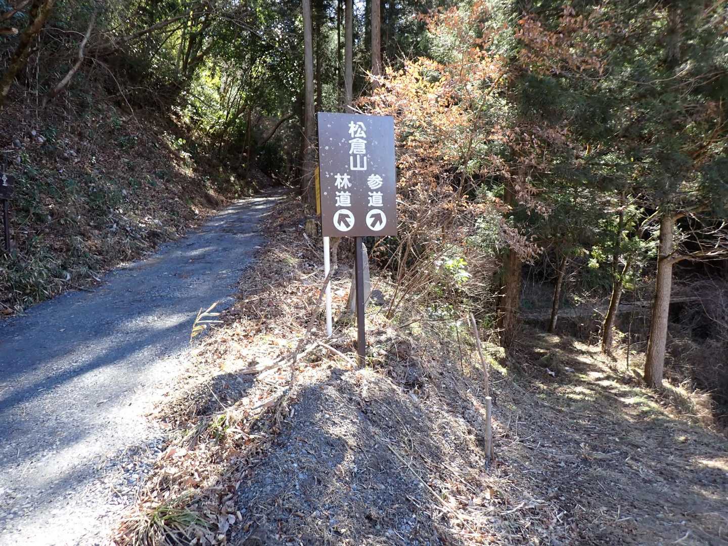もちろん参道コースへ