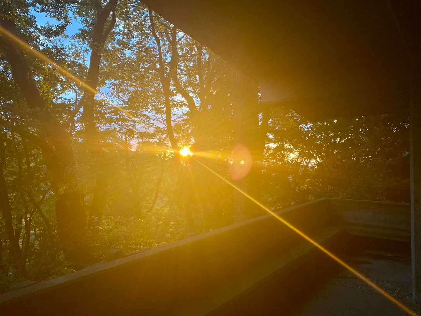 千早城跡🏯で夕日☀️