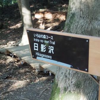 今日は4号路からいろはの森コースを経由して下山します😊