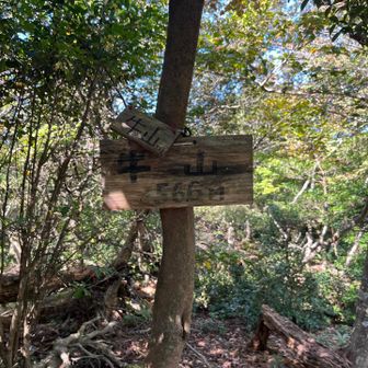 牛山。眺望はありません