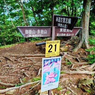 御嶽山・赤岩山方面へ
番号は21まで下がっている
