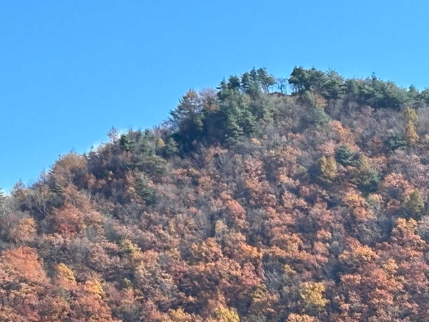 中ノ岳ズーム。あそこの切れ目が山頂。