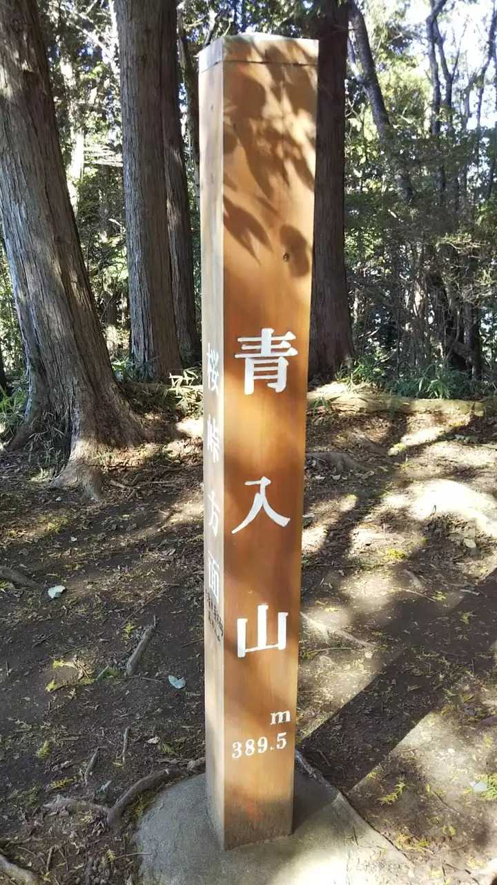 青入山の写真